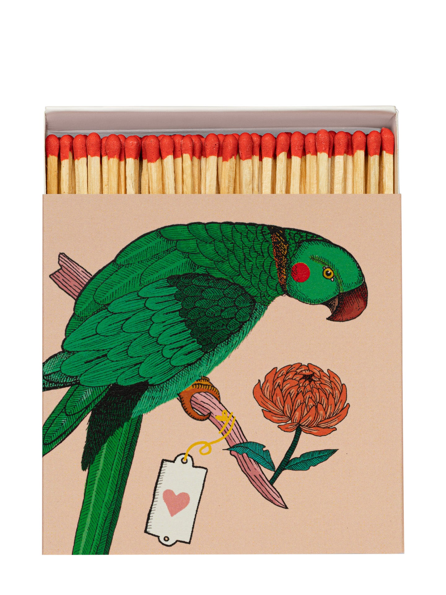 Ariane Parrot matchbox