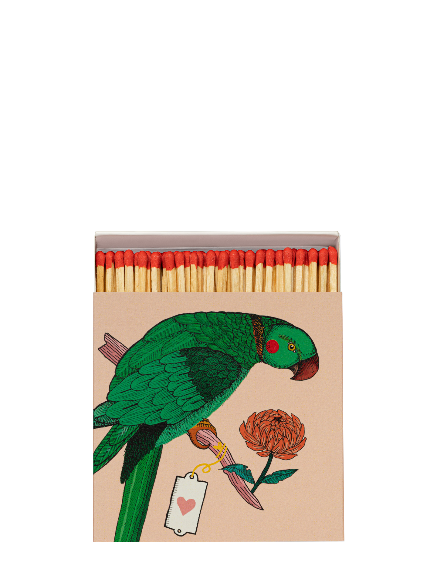 Ariane Parrot matchbox