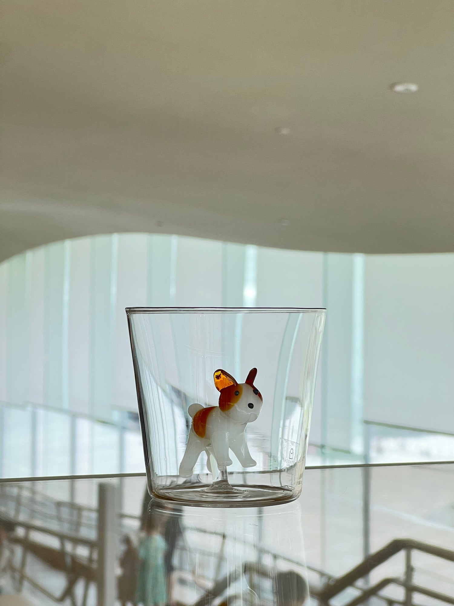 Dog tumbler, white and amber French Bulldog