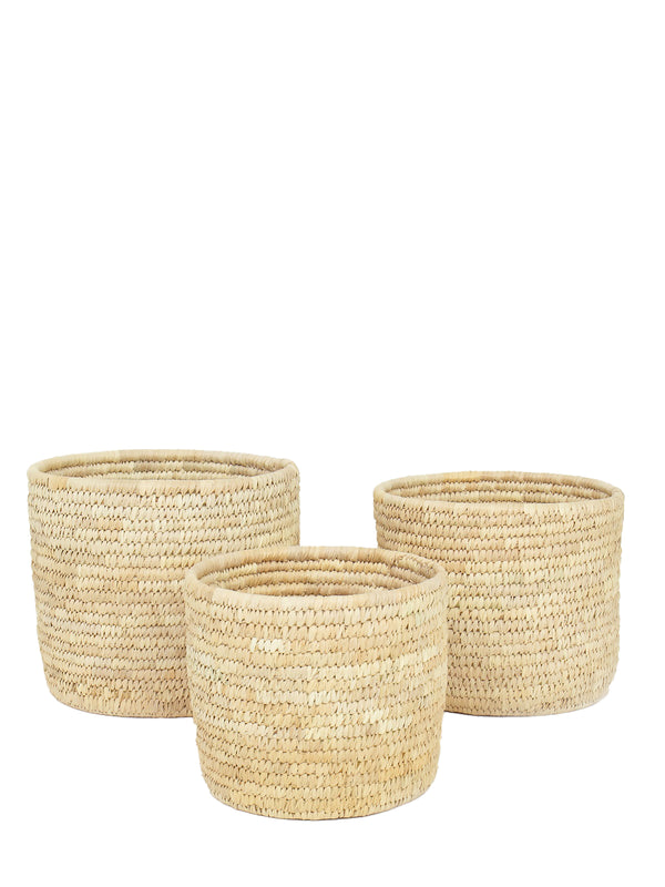 Palm cylinder pot (L), natural