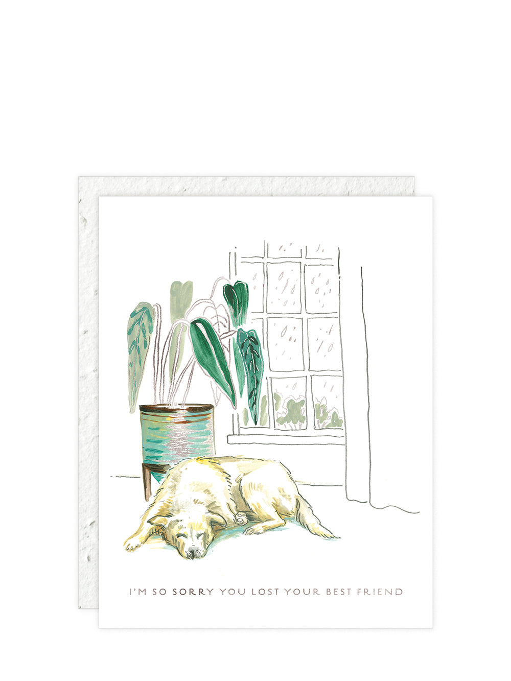 So sorry you lost best friend dog sympathy card w/ plantable envelope