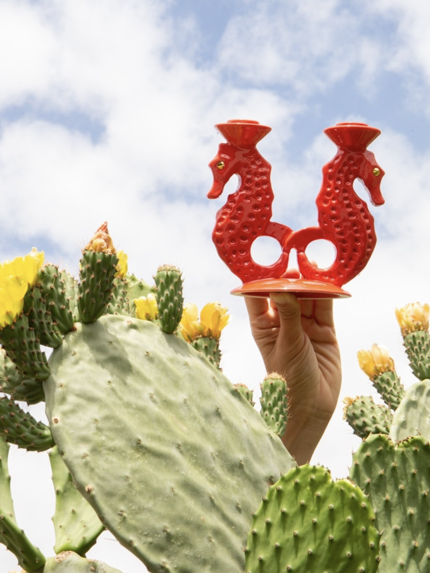 Seahorse chandelier, coral red