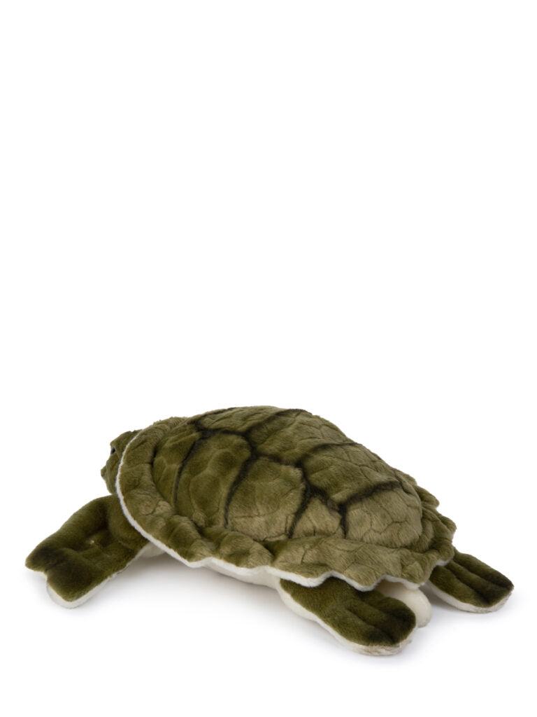 WWF Turtle