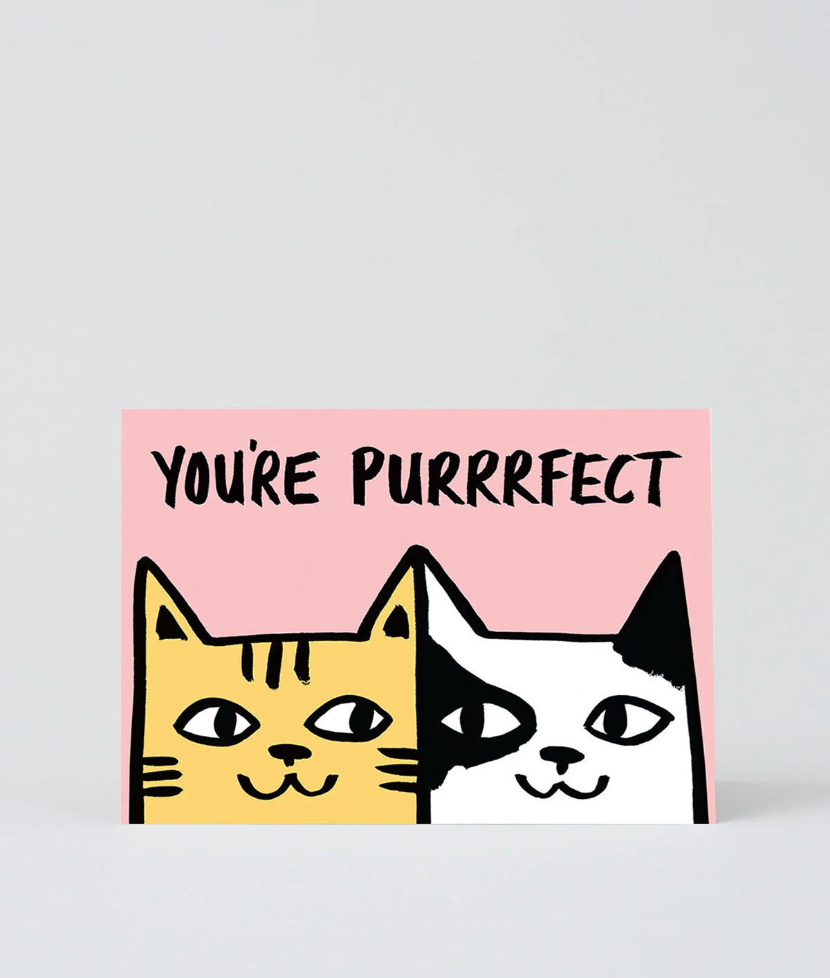 Card with two cats and 'You're Purrfect' text on a pink background