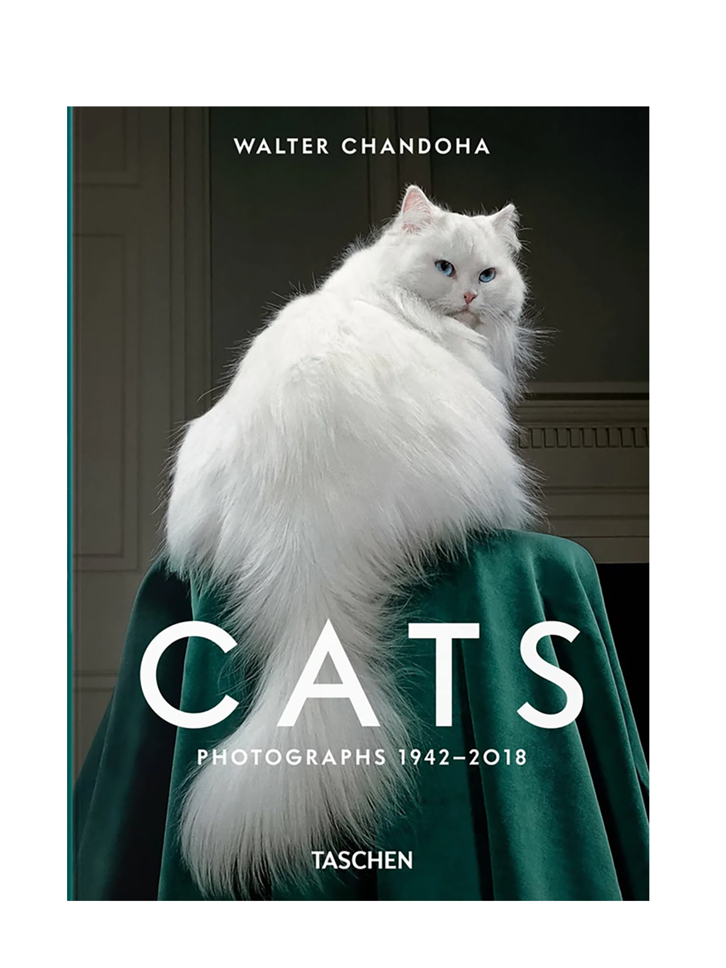 Cats. Walter Chandoha. Photographs 1942–2018