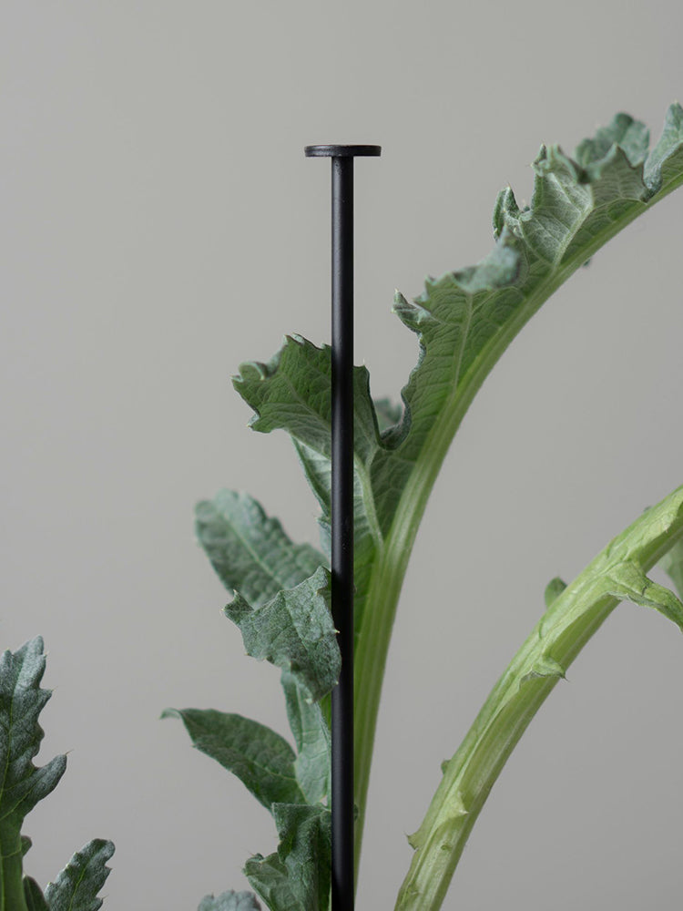 Flower support stick