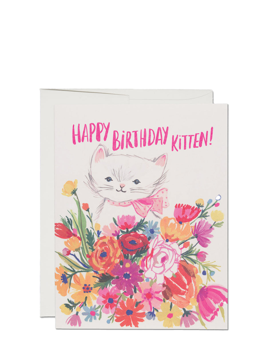Happy Birthday Kitten - Birthday Card