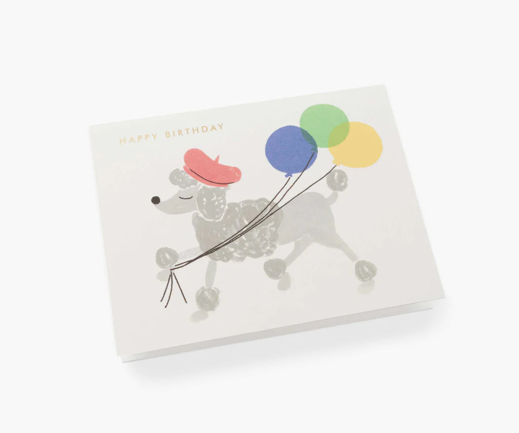 French fancy poodle balloons, birthday card