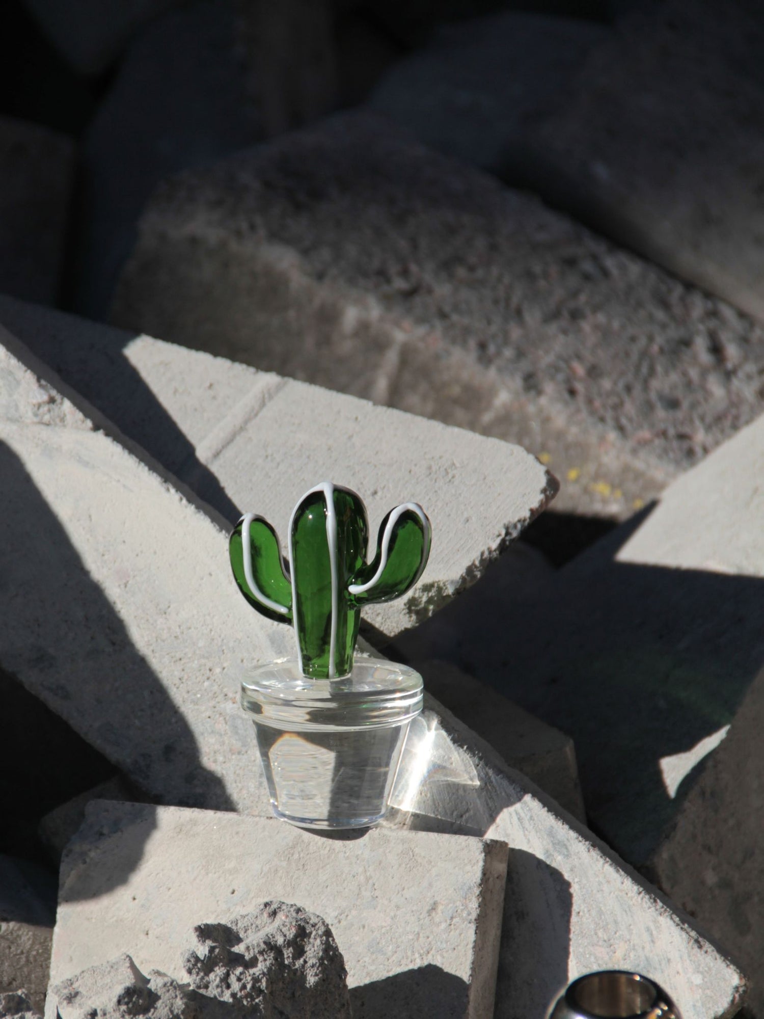 Cactus Paperweight the Green Cactus, Desert Plants Collection