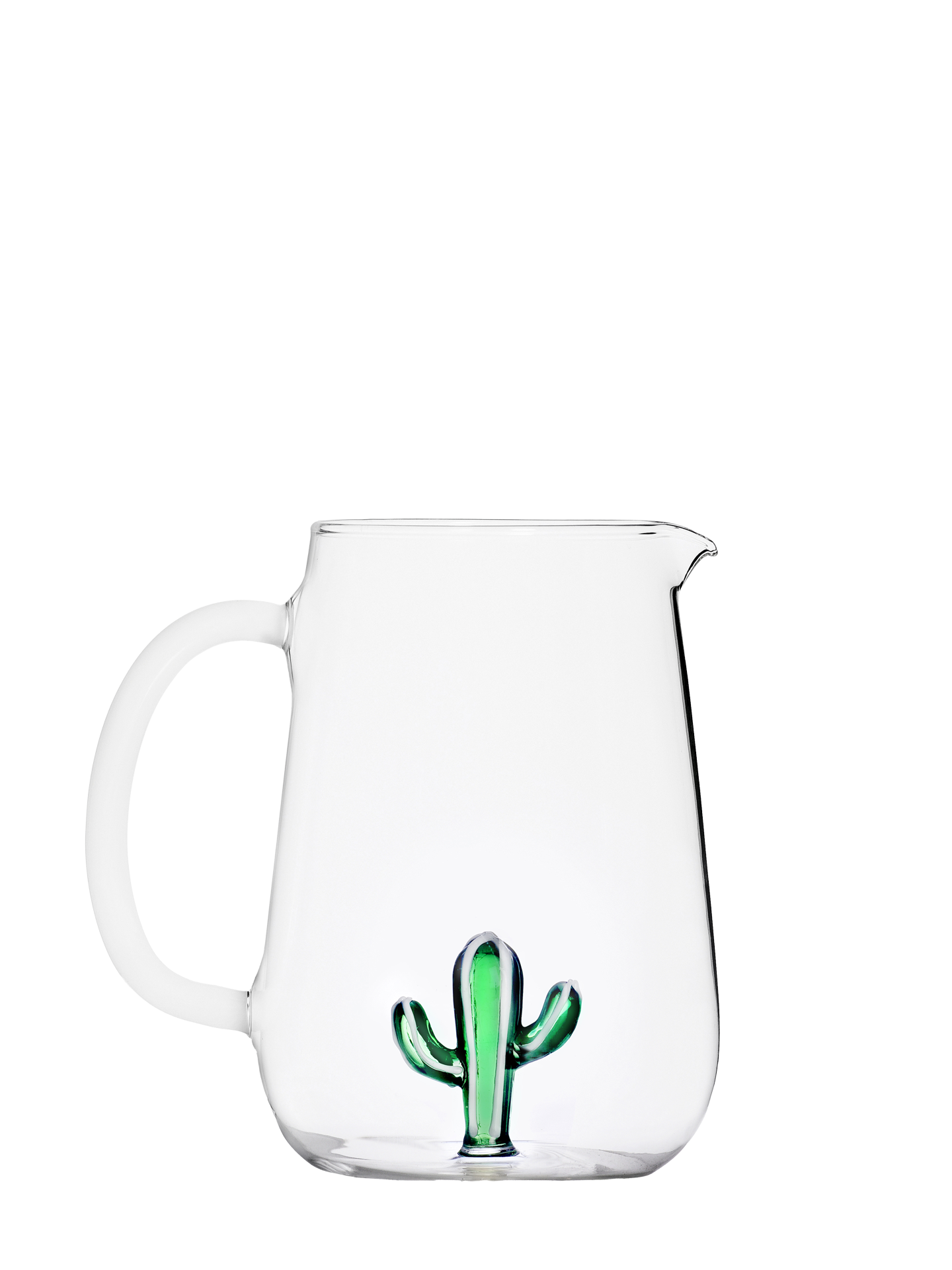 Cactus Jug, Desert Plants Collection