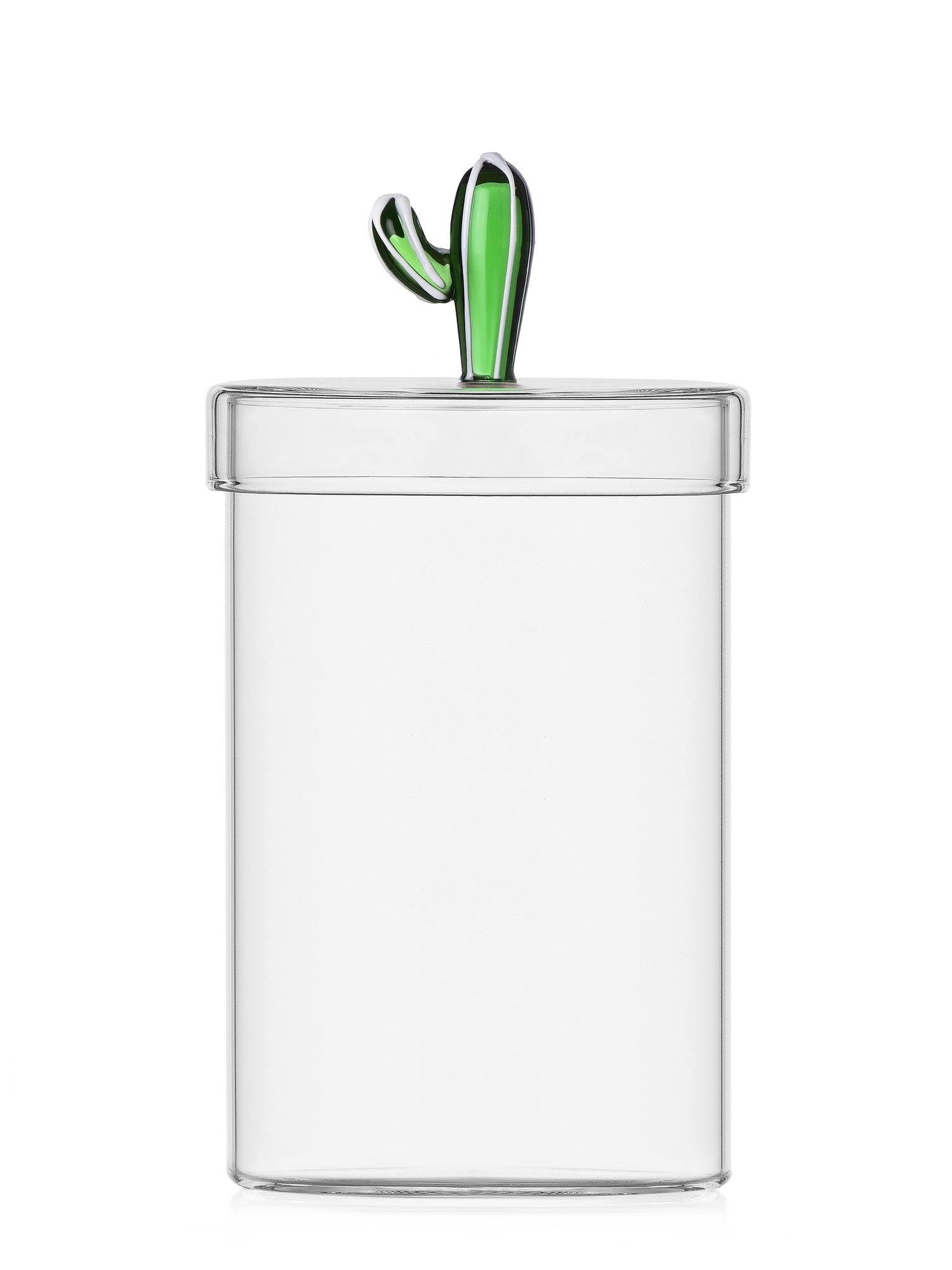 Green Cactus Box - DESERT PLANTS