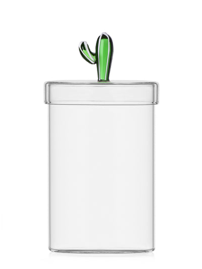 Cactus Box, Desert Plants Collection