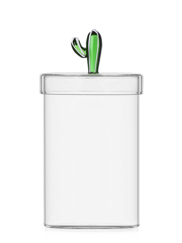 Cactus Box, Desert Plants Collection