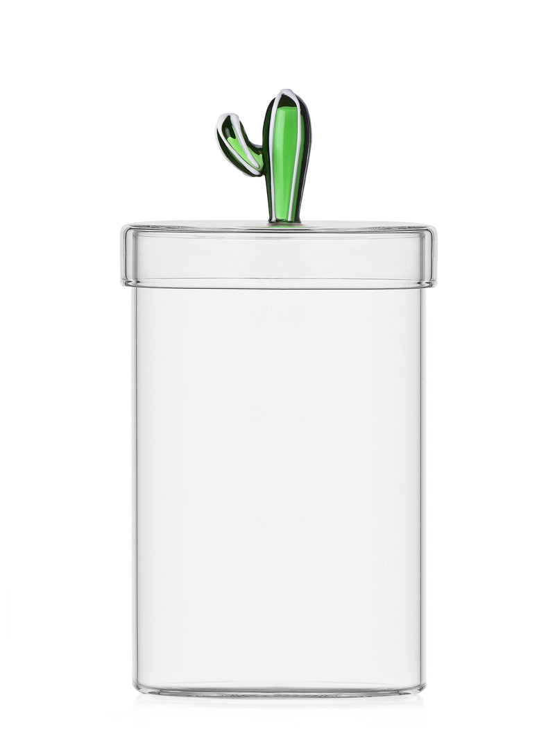 Cactus Box, Desert Plants Collection