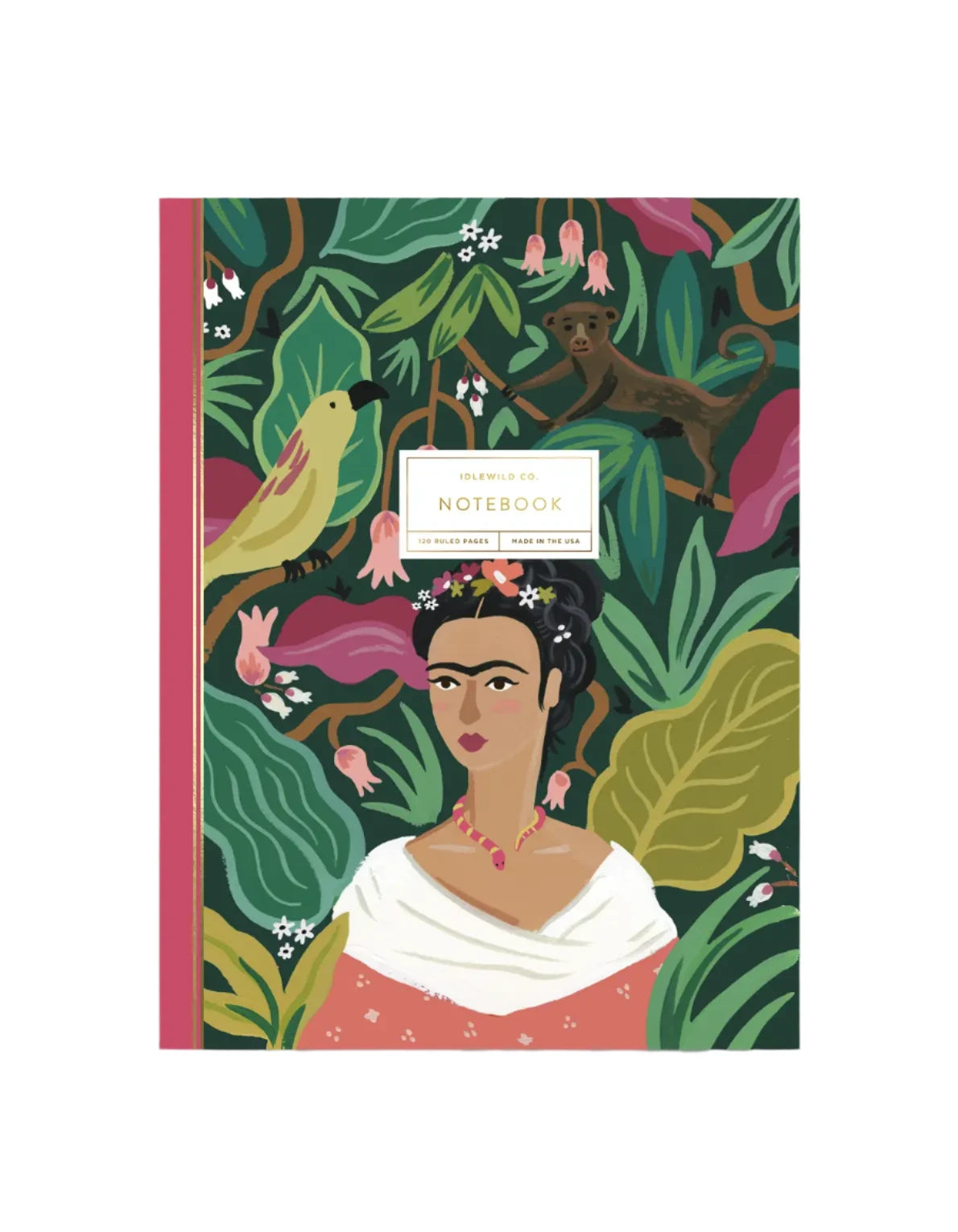 Frida Notebook