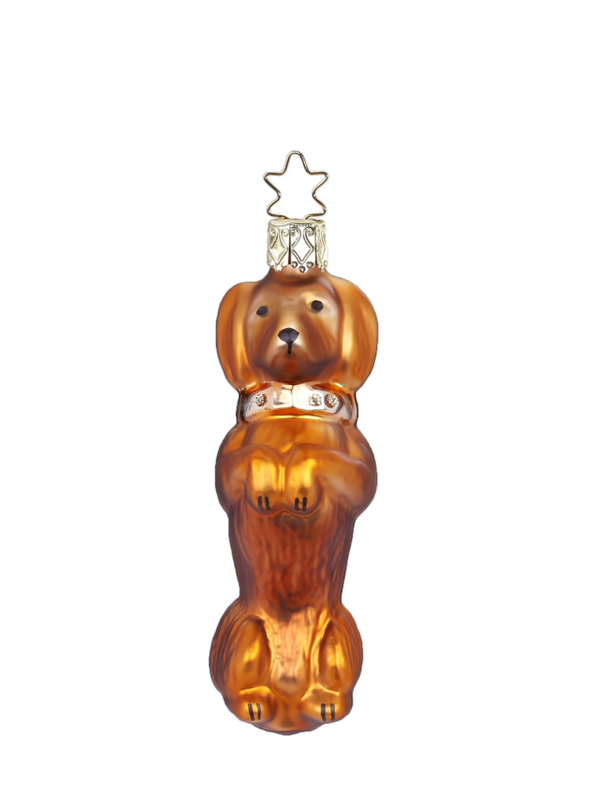 Dachshund glass ornament, blonde (9,5cm)