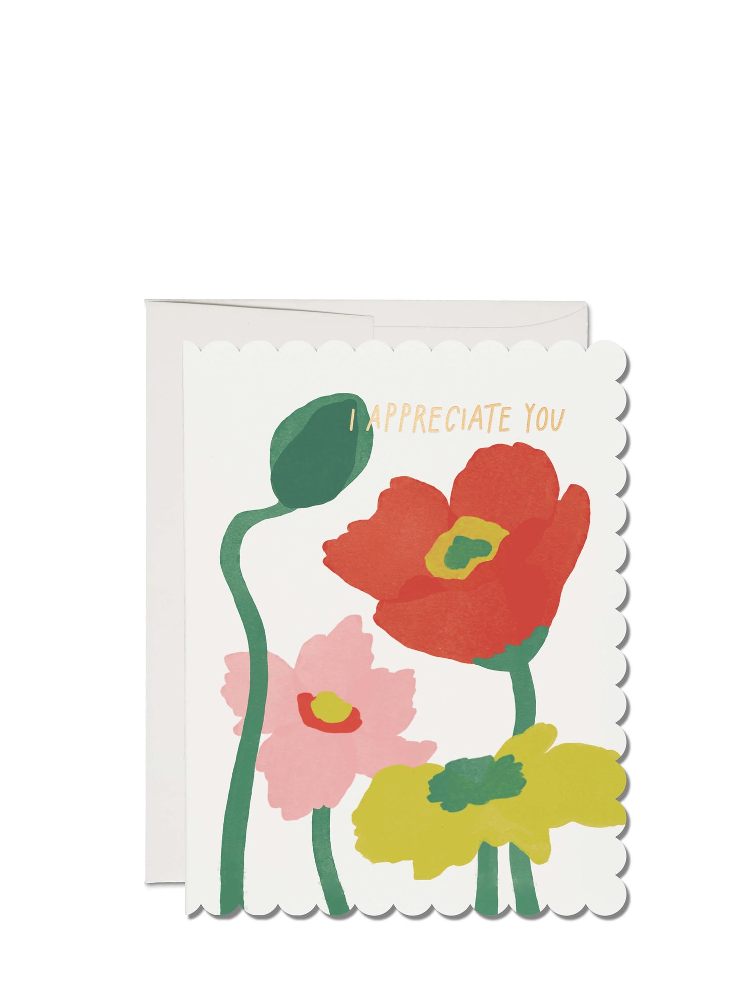 Scalloped poppy, thank you card