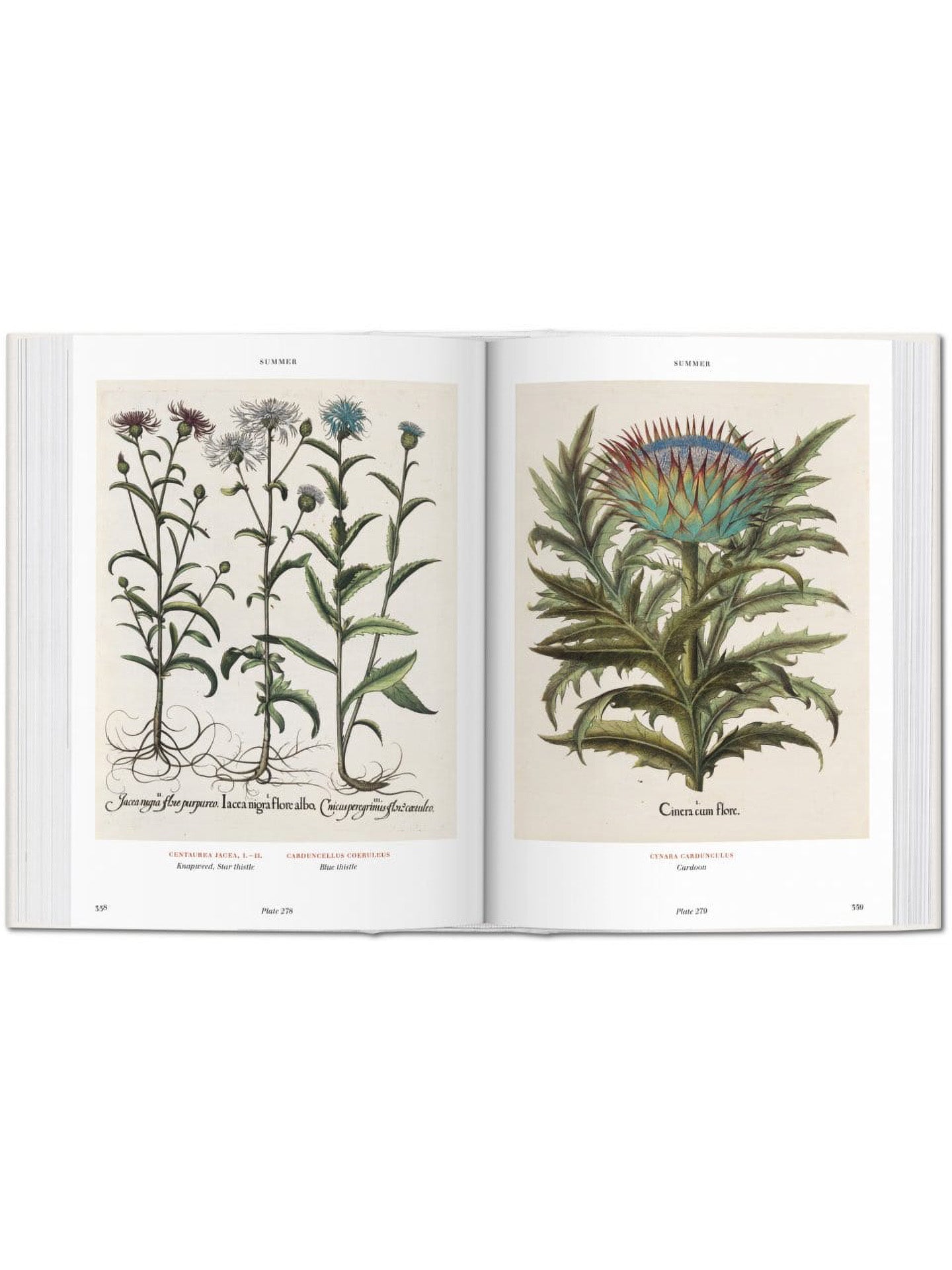 Florilegium – The Book of Plants