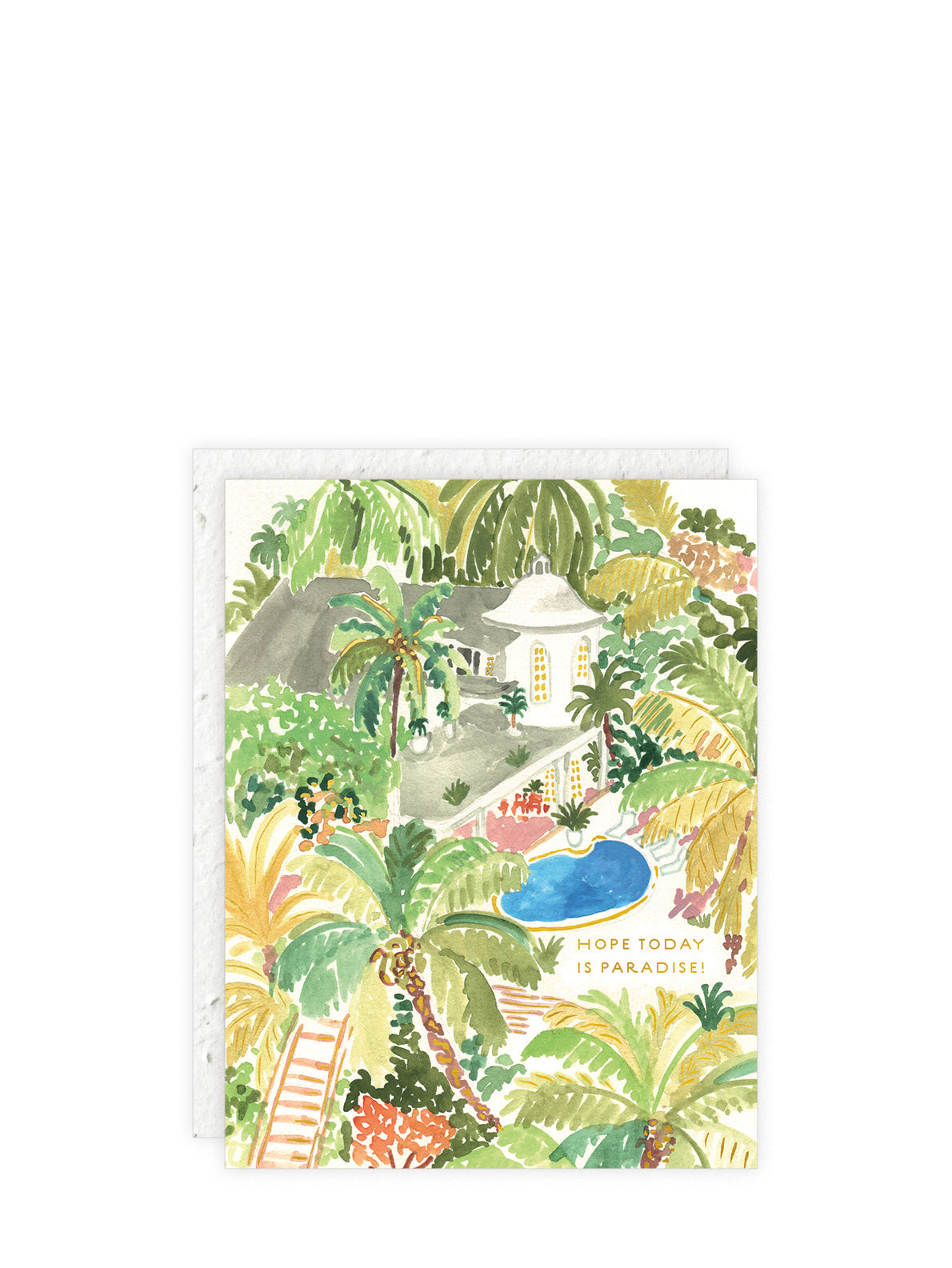 Oasis - Hope today is paradise, congratulations card (plantable envelope)