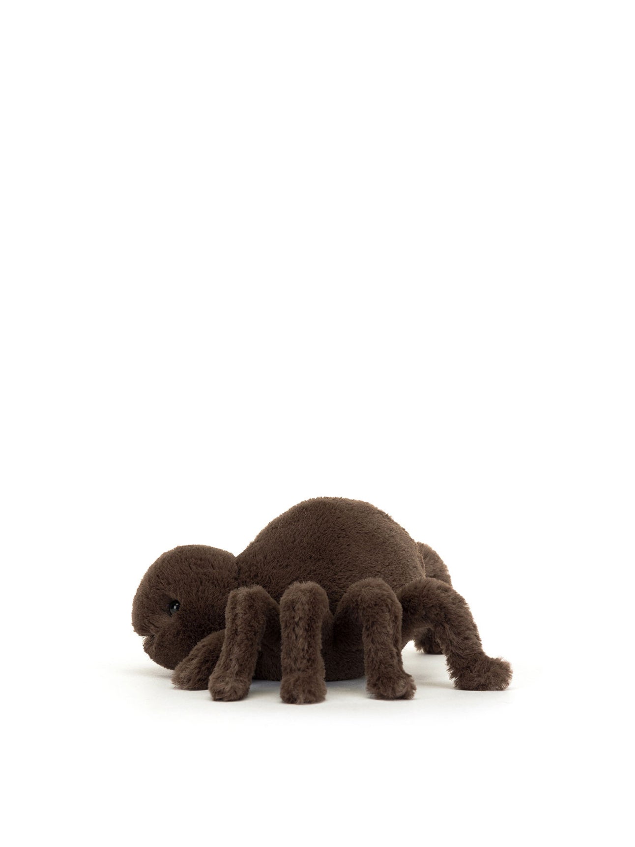 Ooky Spider soft toy