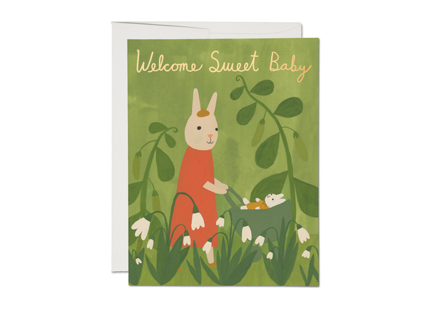 Green sweet bunny new baby Ccard