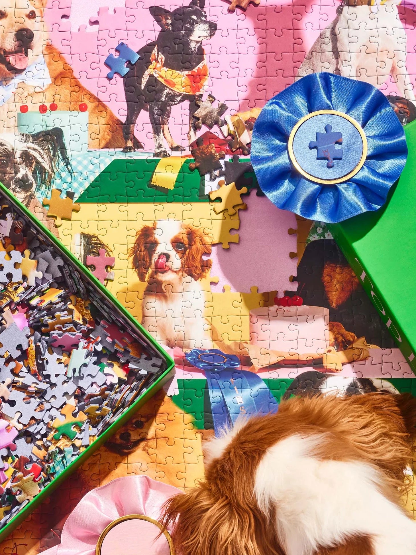 Top dog puzzle (1000 pieces)
