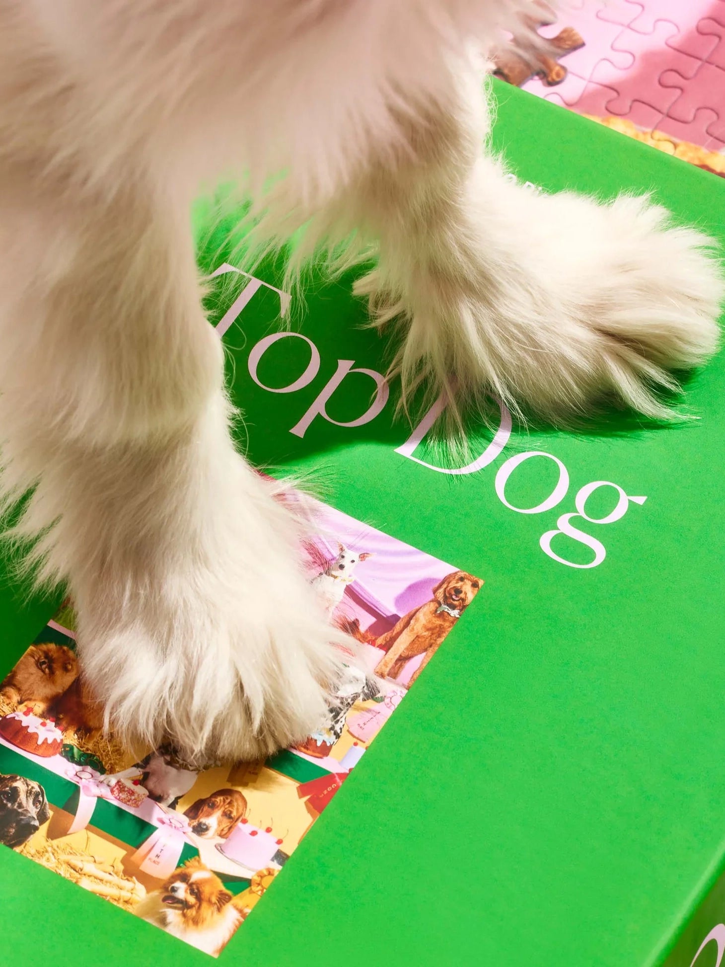 Top dog puzzle (1000 pieces)