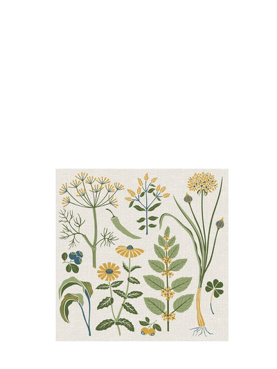 Kitchen herbs dinner paper napkins, pack of 50