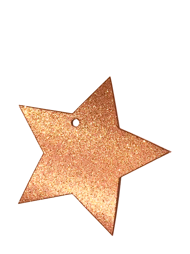 Gift tag glitter star