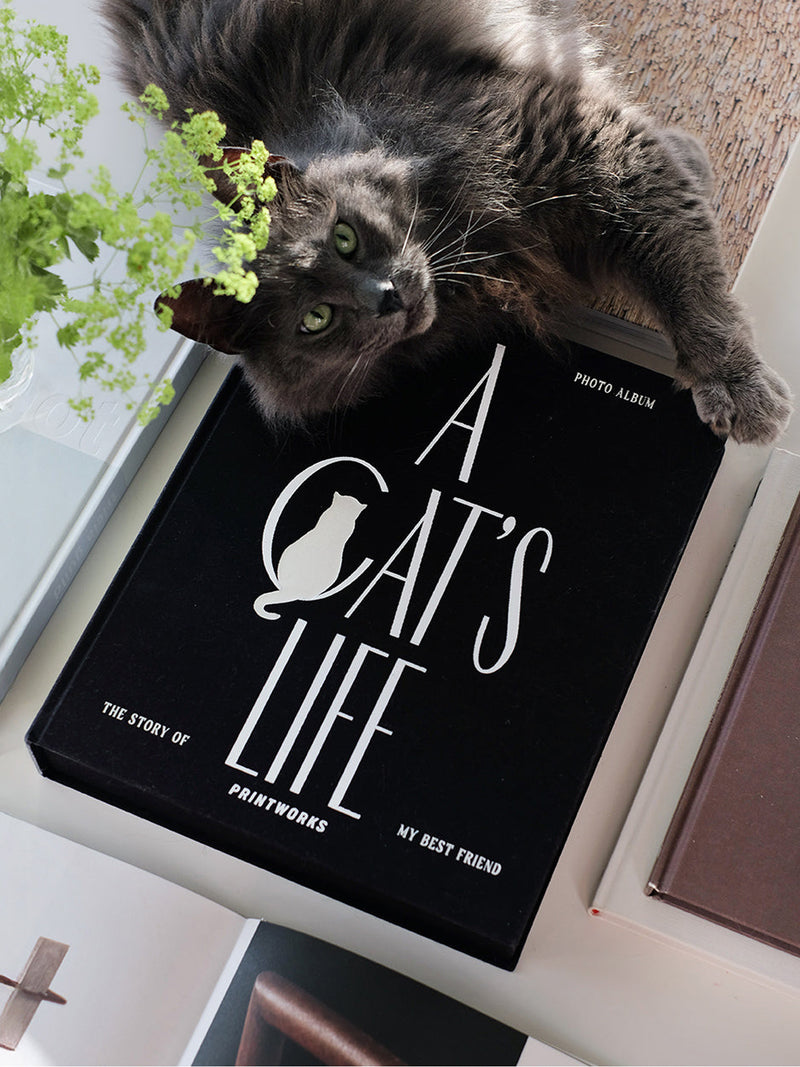 Cat photo album, A Cat's Life