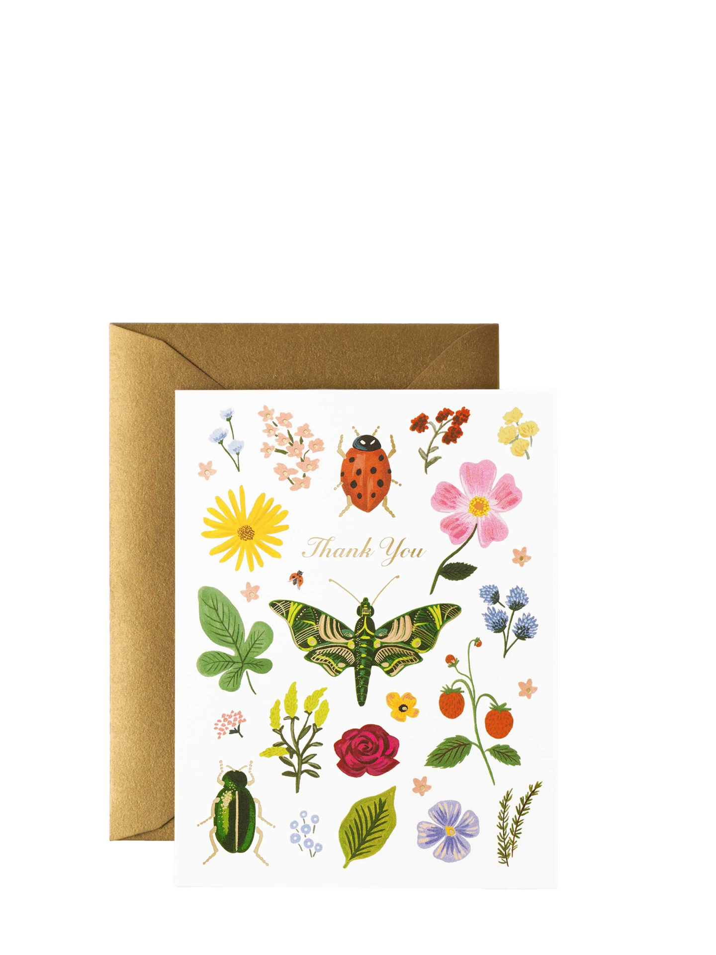 Botany & Entomology Curio Thank You Card