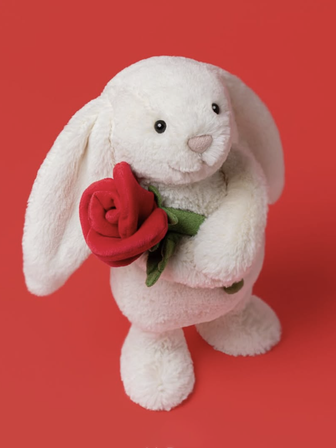 Cream bunny with rose