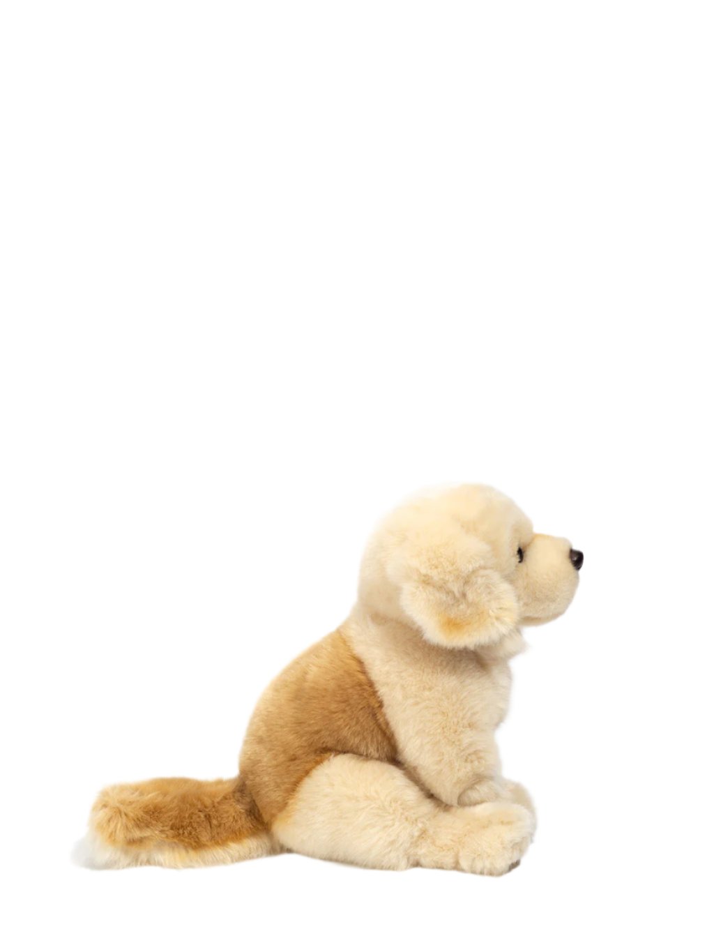 Golden Retriever soft toy