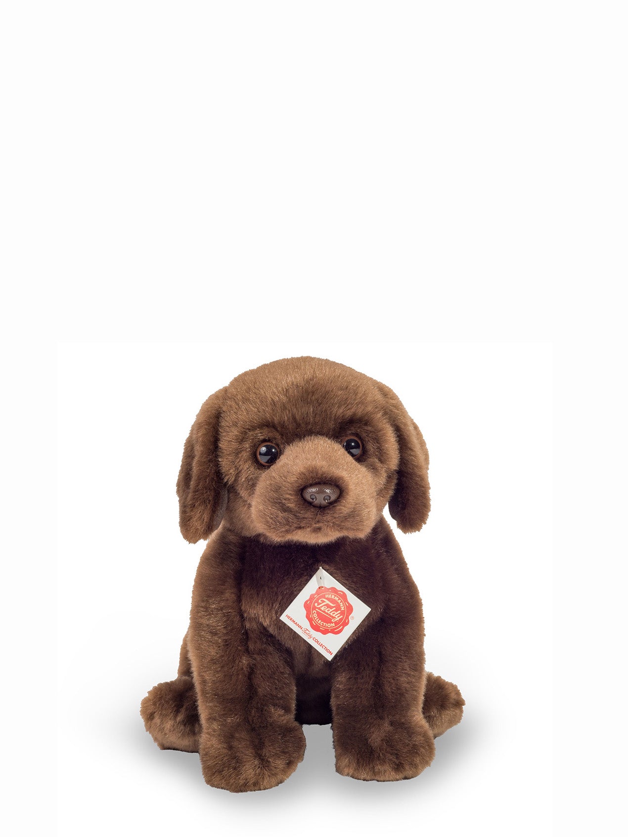 Chocolate lab soft toy (25cm)