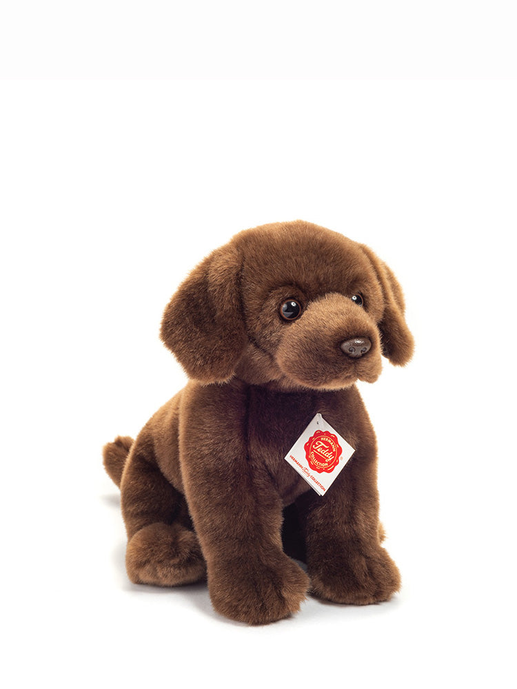 Chocolate lab soft toy (25cm)