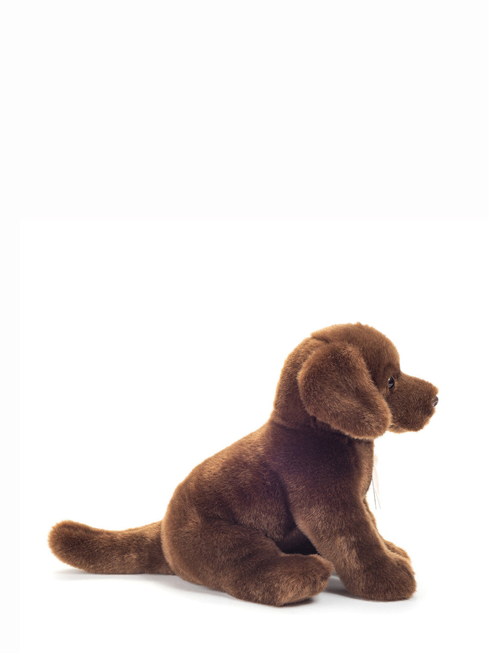 Chocolate lab soft toy (25cm)