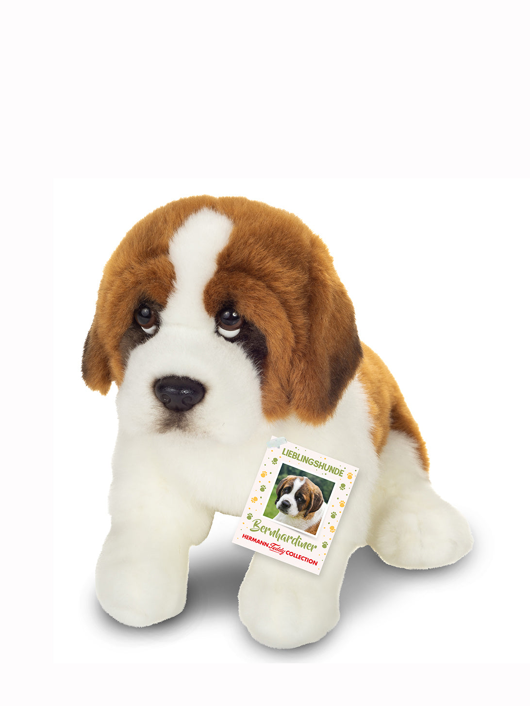 Saint Bernard soft toy (25cm)