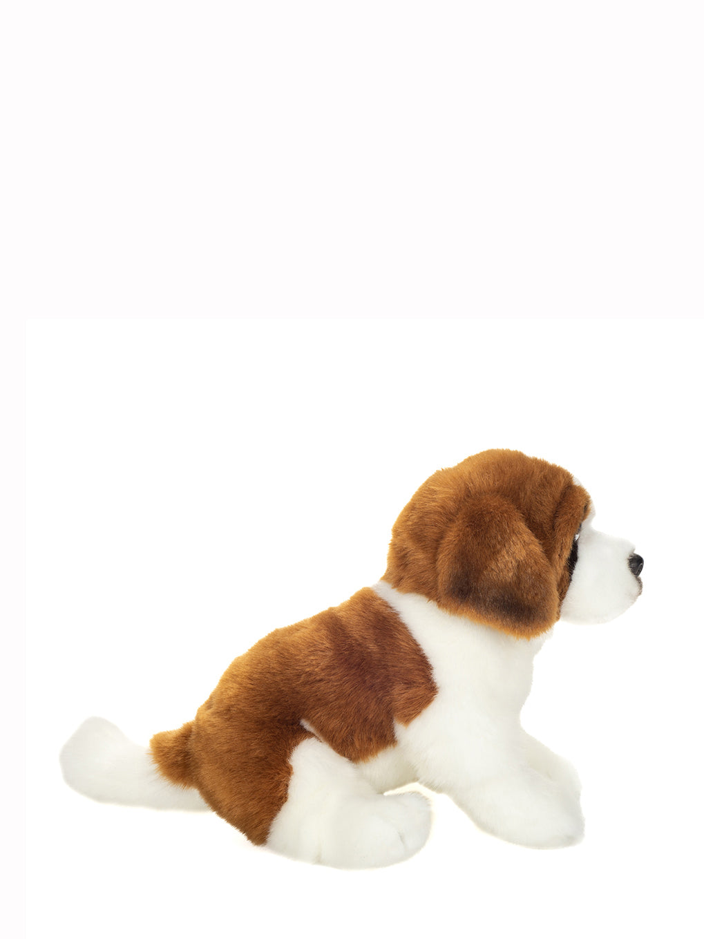 Saint Bernard soft toy (25cm)