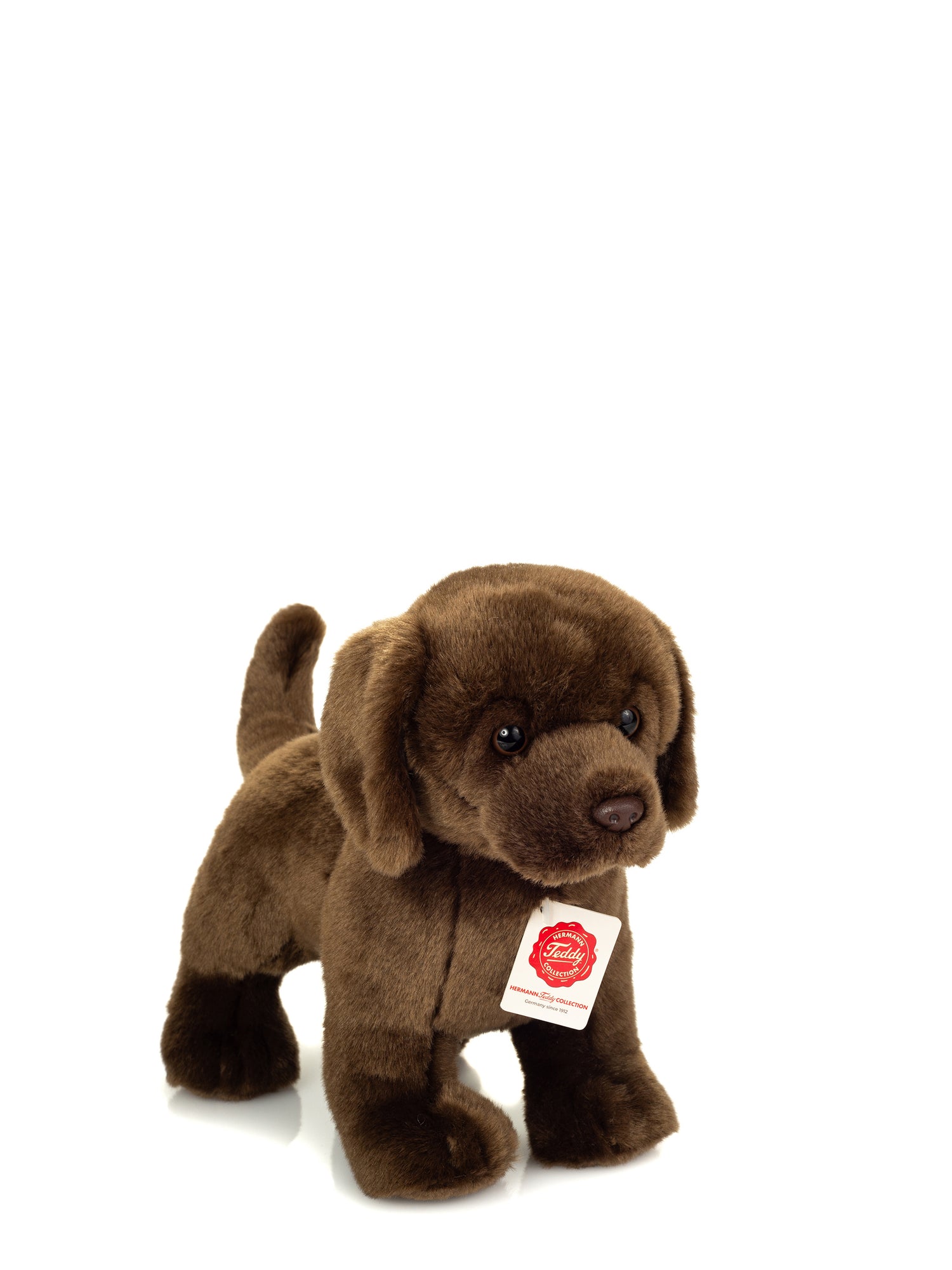 Labrador brown soft toy (30 cm)