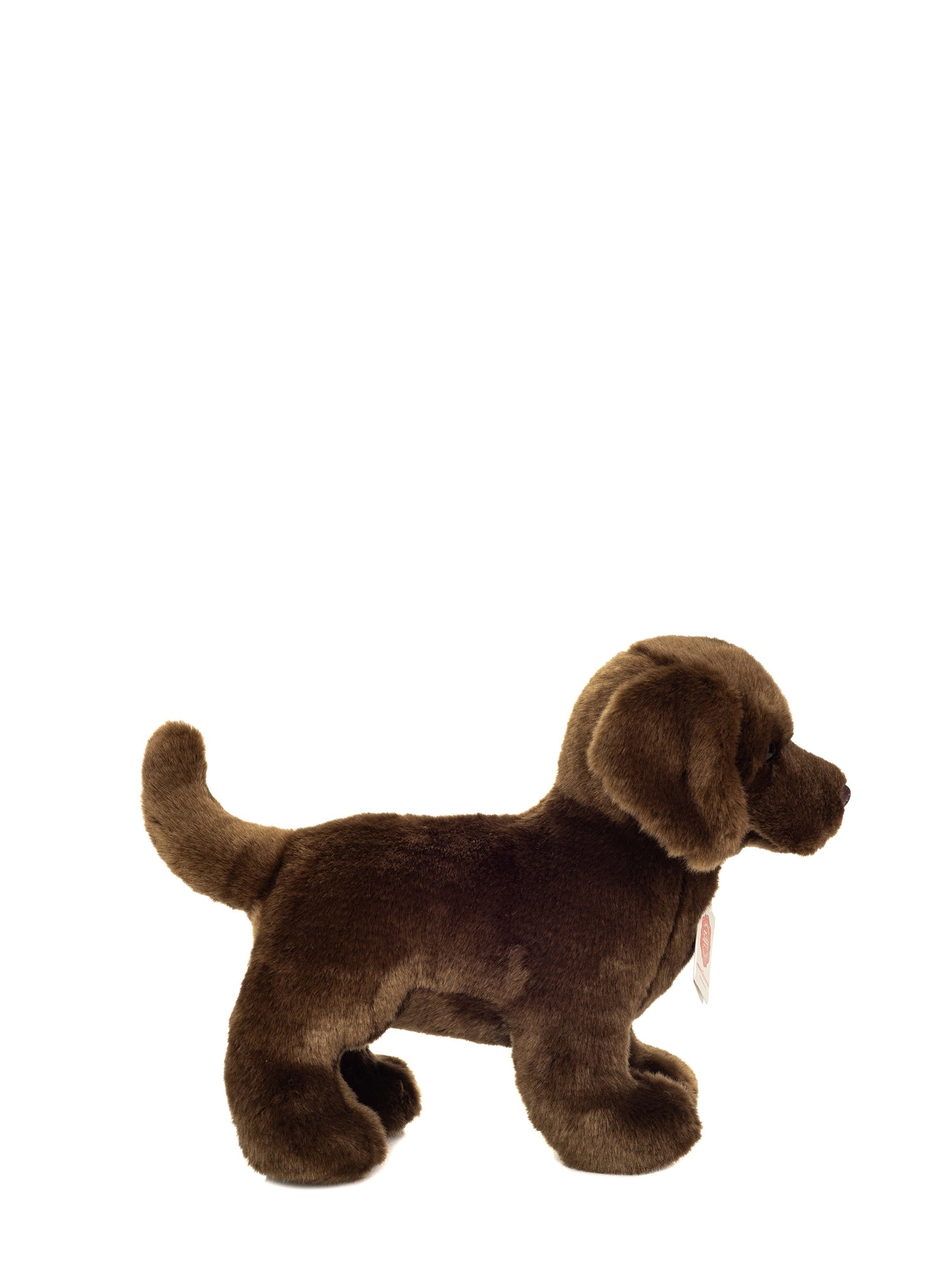 Labrador brown soft toy (30 cm)