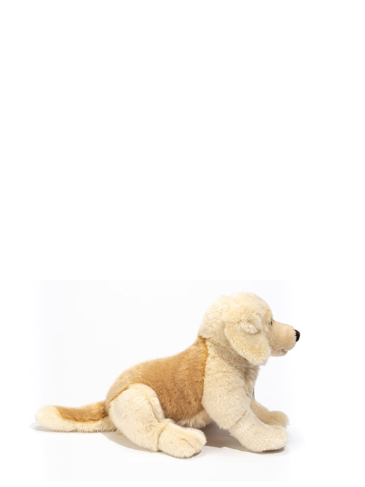 Golden retriever soft toy  (30 cm)