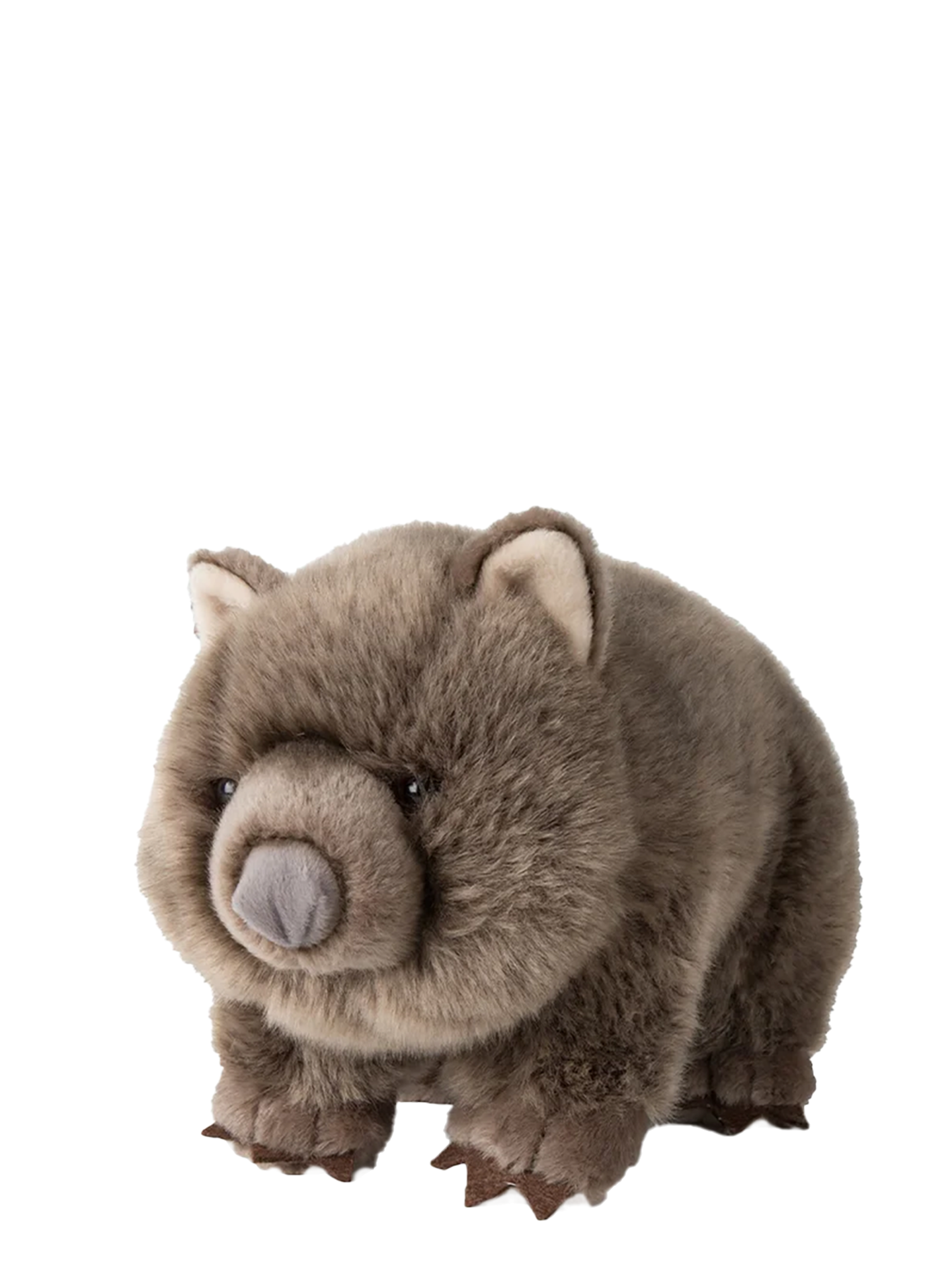 WWF Wombat soft toy (28 cm)