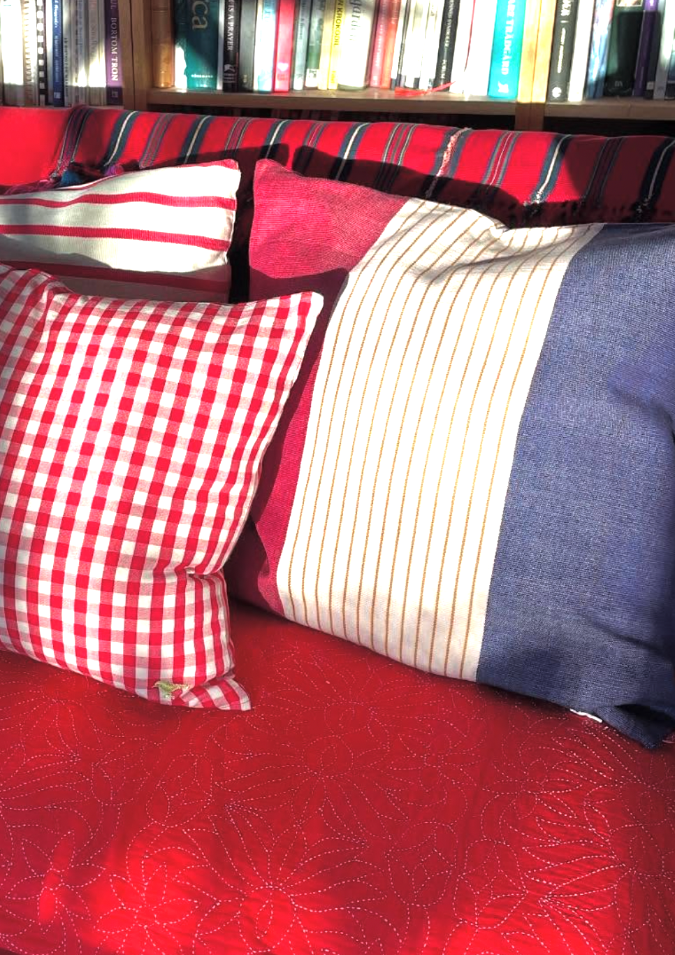 Red sofa with patterned cushions in a room with books on shelves.