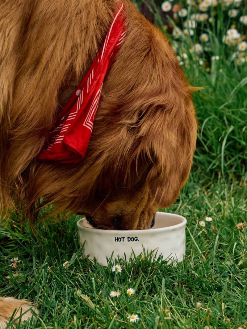 Hot dog pet bowl
