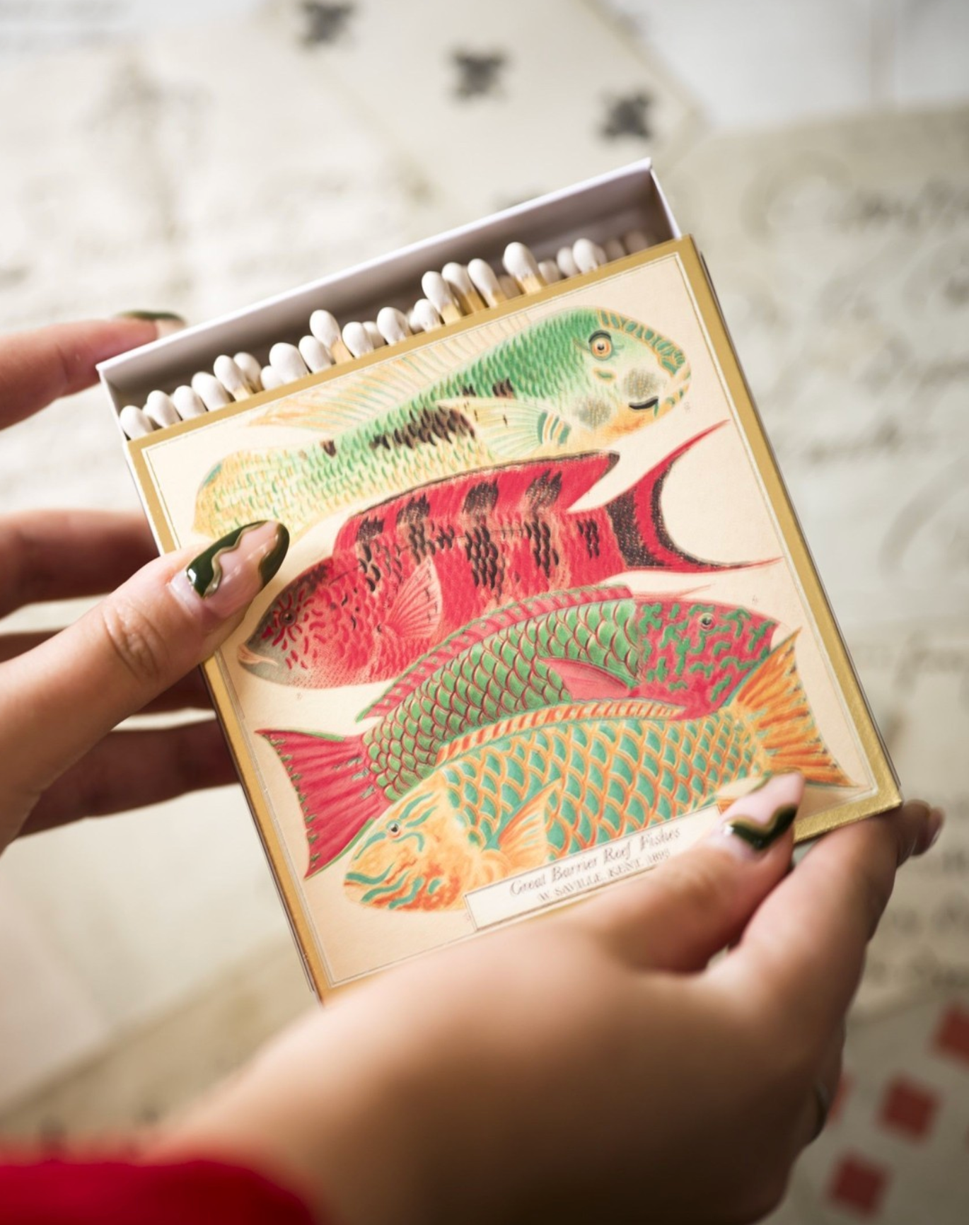 Matchbox with colorful fish illustration held by a person
