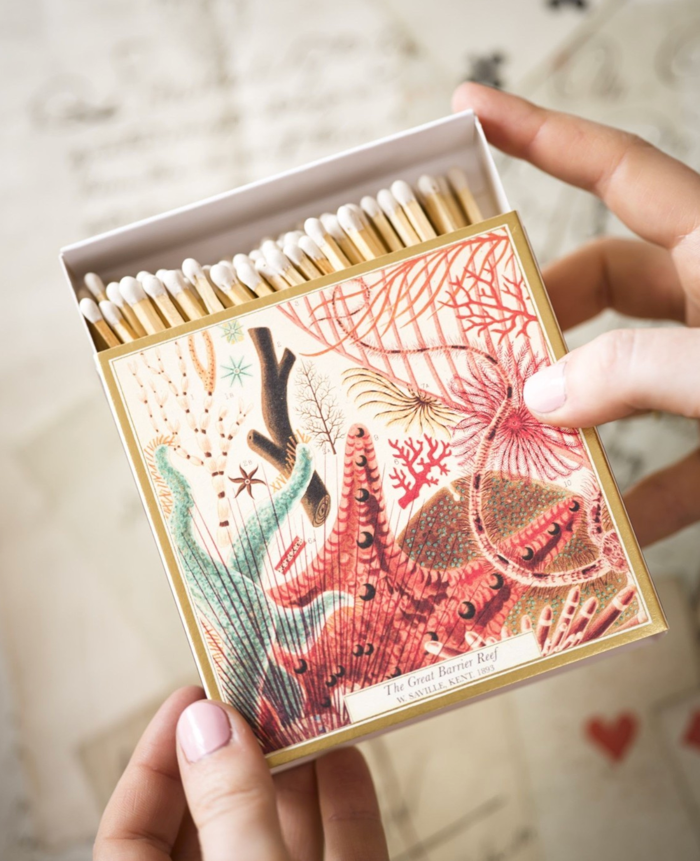 Matchbox with marine life design held by a hand