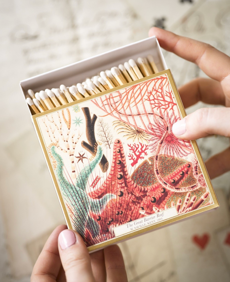 Matchbox with marine life design held by a hand