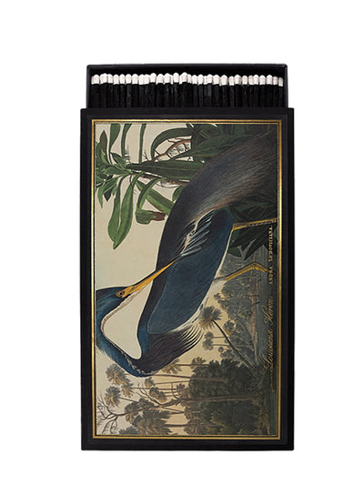 Louisiana heron giant matches (30cm)