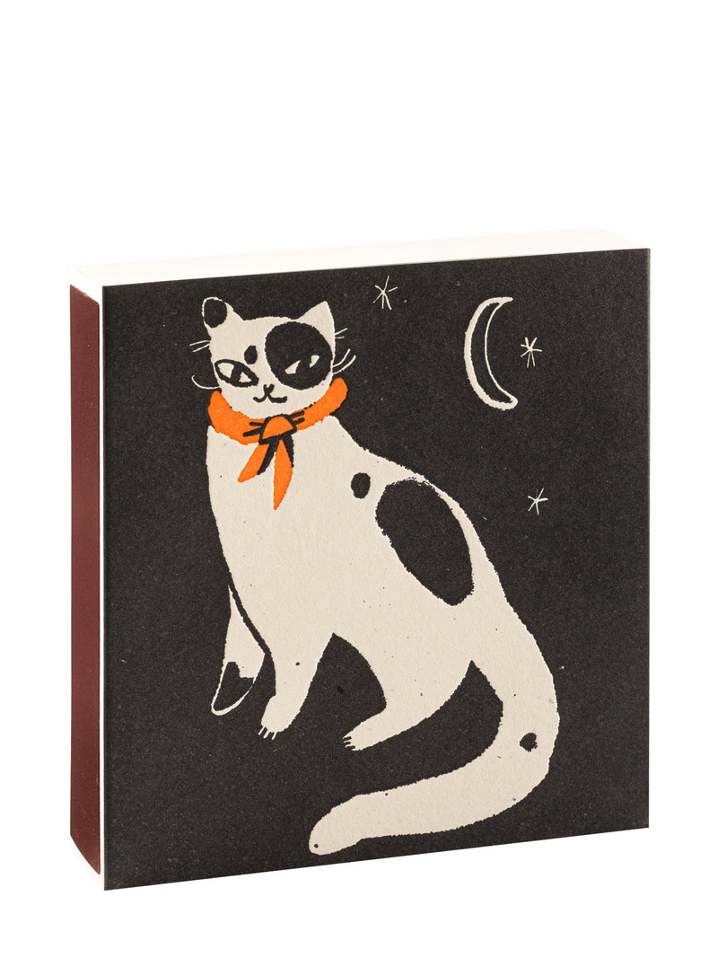 Black spotted kitten in the night matches