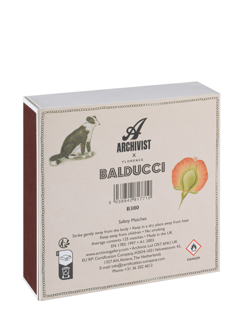 Chien botanical drawing matches